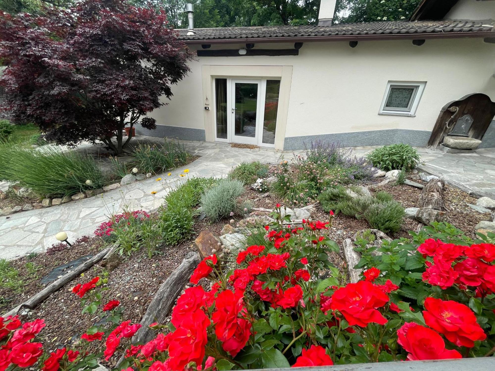 Апартаменти La Casina Di Oscar Ad Ao V Combe Vda Quart 0014 E 00I6 Екстер'єр фото