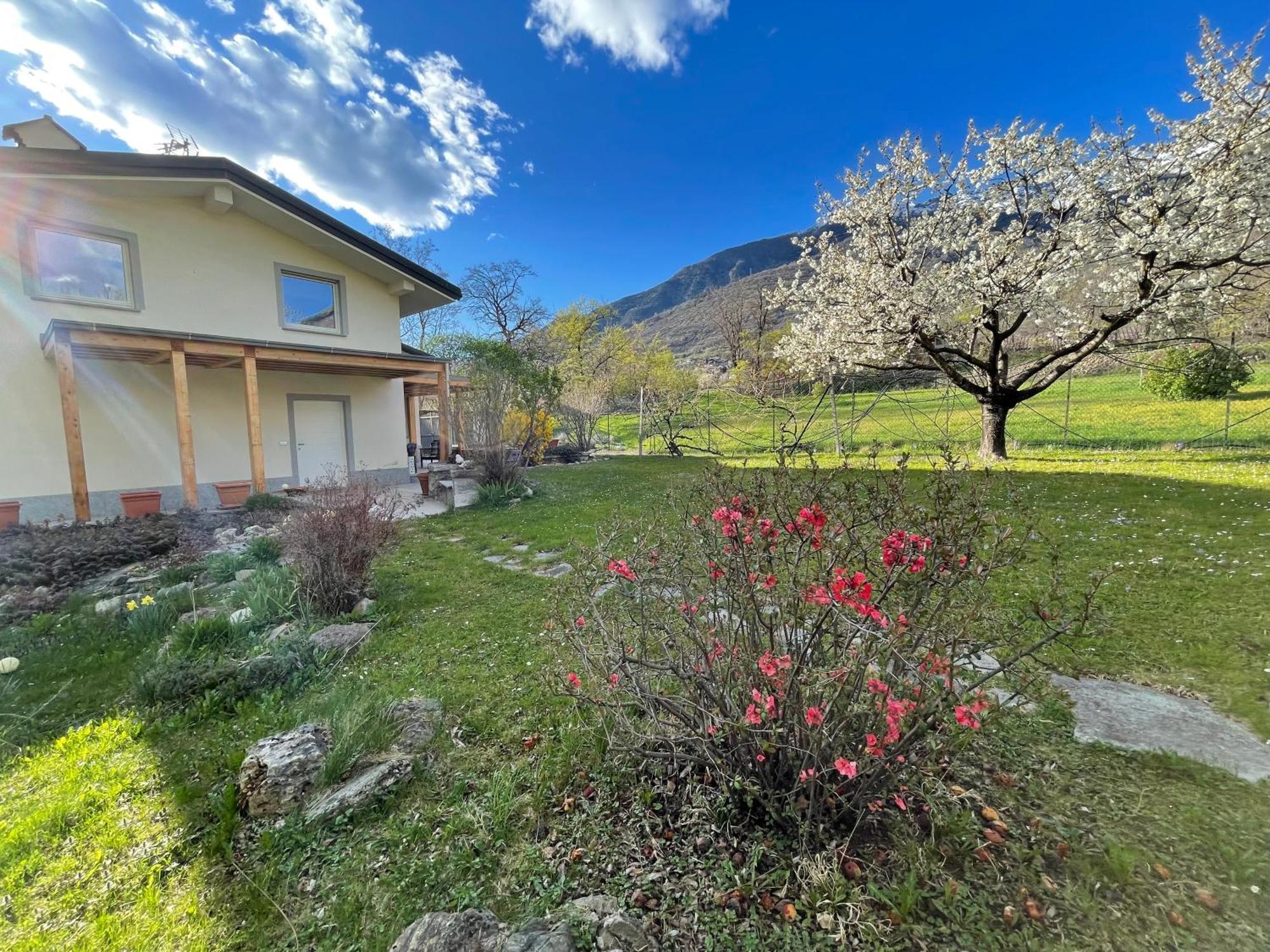 Апартаменти La Casina Di Oscar Ad Ao V Combe Vda Quart 0014 E 00I6 Екстер'єр фото